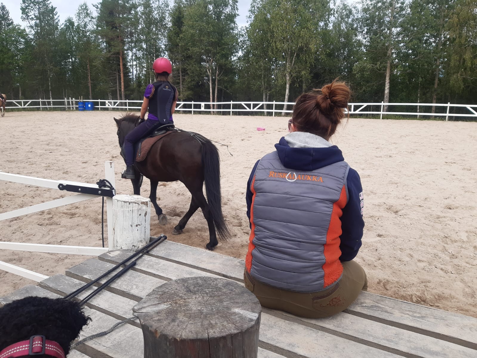 Ratsastaja ja hevonen kentällä ratsastustunnilla 
