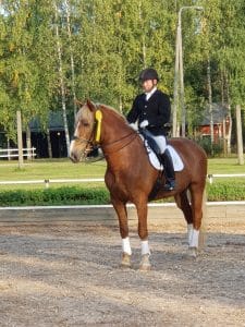 Ruska Laukan tallilla valmennus-, yksityis-, pari-, pienryhmä ja mini tunnit Ruka Kuusamossa