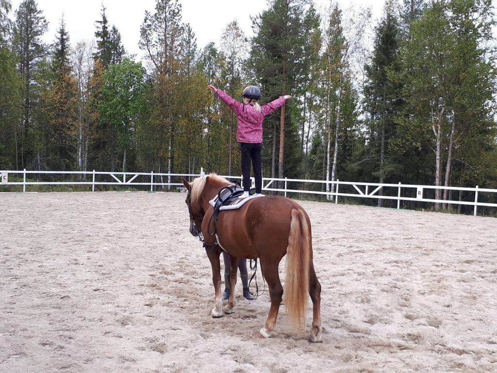 Ratsastaja kokeilee tasapainoaan Ruska Laukan tallilla. 