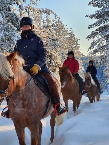 Maastoratsastus suomenhevosilla Ruska Laukan tallilla Ruka-Kuusamossa