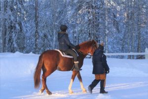 Sosiaalipedagoginen hevostoiminta Ruska Laukan tallilla Ruka-Kuusamossa