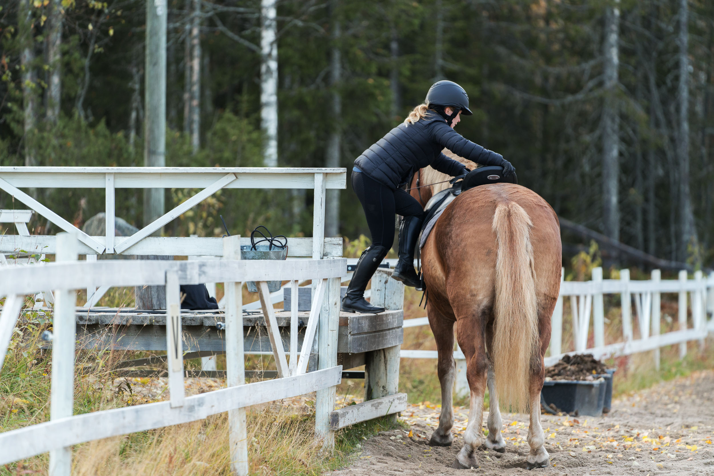 Kypäräpäinen ratsastaja nousee hevosen selkään korokkeelta ratsastuskentällä.