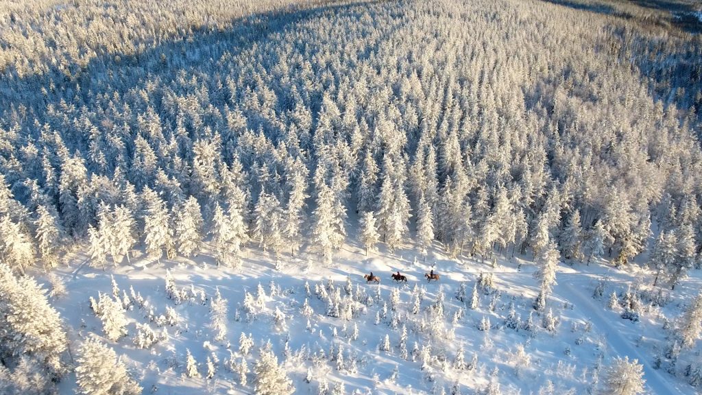 Ruska Laukka talli, Maastoratsastusta Ruska Laukan tallilla Ruka-Kuusamossa