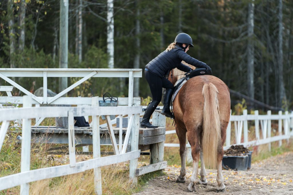 Ratsastaja nousee trampilta hevosen selkään