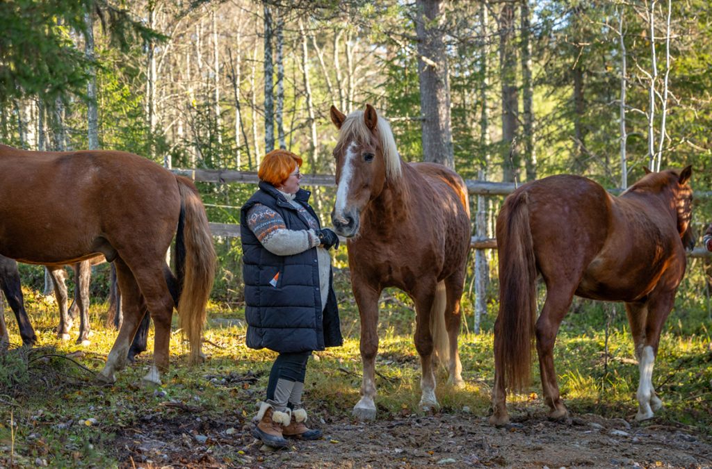 Sanna Kallunki seisoo kolmen hevosen keskellä metsäisessä tarhassa.