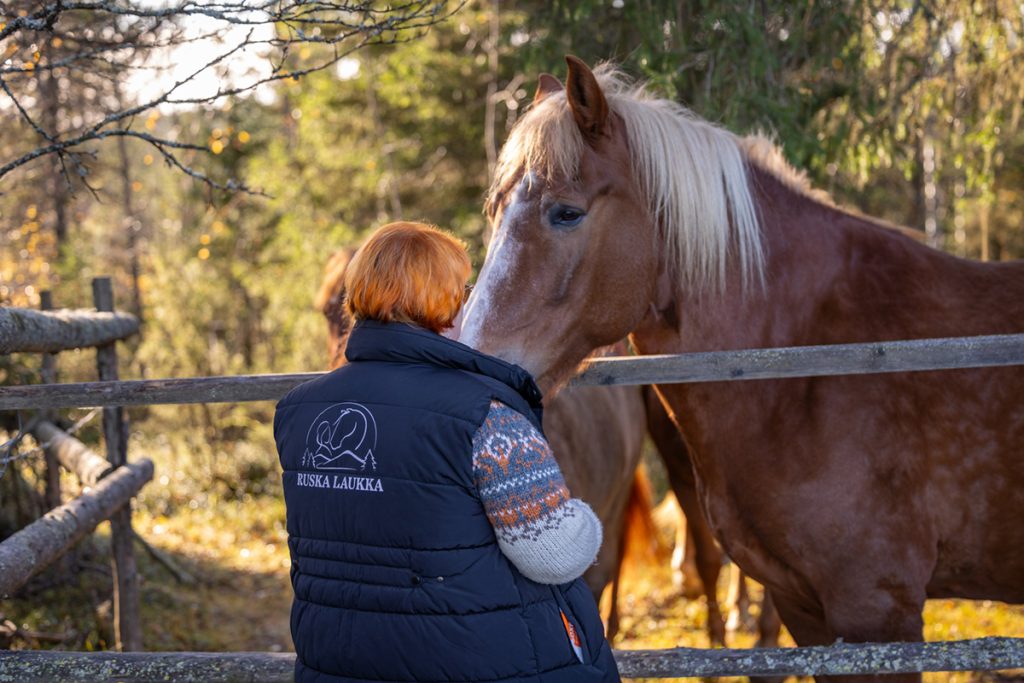 Sanna Kallunki kohtaa rautiaan hevosen tarhan aidalla.